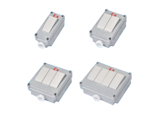 BZM防爆照明墻壁開關